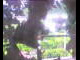 Webcam in Flachau (Salzburg), 3 mi away