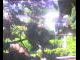 Webcam in Flachau (Salzburg), 1.7 mi away