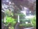 Webcam in Flachau (Salzburg), 2.8 mi away