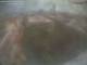 Webcam Veracruz
