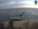 Webcam in Sellin, 3.5 mi away