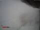 Webcam sul Brocken, 0.1 km