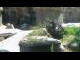 Webcam in San Diego, Kalifornien, 59.5 km entfernt