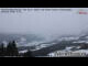 Webcam in Mittersill, 1.9 mi away