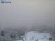 Webcam in Hinterzarten, 16.4 km