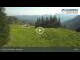 Webcam in Grünau im Almtal, 1.1 mi away