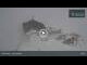 Webcam in Schnals, 0.7 mi away
