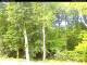 Webcam in Hilversum, 15 mi away