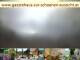 Webcam in Spitz (Wachau), 9.4 mi away