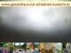 Webcam in Spitz (Wachau), 9.4 mi away