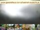 Webcam in Spitz (Wachau), 24.9 mi away
