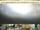 Webcam in Spitz (Wachau), 9.4 mi away