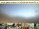 Webcam in Spitz (Wachau), 24.3 km entfernt