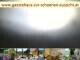 Webcam in Spitz (Wachau), 9.4 mi away