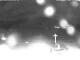 Webcam in Rieden am Forggensee, 5.3 km entfernt