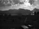 Webcam in Rieden am Forggensee, 5.3 km