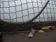 Webcam in Rieden am Forggensee, 2.1 mi away