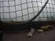 Webcam in Rieden am Forggensee, 1.3 mi away