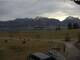 Webcam in Rieden am Forggensee, 3.5 km entfernt