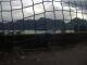 Webcam in Rieden am Forggensee, 2.1 mi away