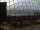 Webcam in Rieden am Forggensee, 1.3 mi away