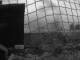 Webcam in Rieden am Forggensee, 1.3 mi away