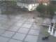 Webcam Bad Zwischenahn