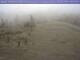 Webcam in Steinach, 39.1 km entfernt
