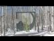 Webcam in Powderhorn Resort, Colorado, 113 km