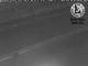 Webcam Clarkia