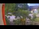 Webcam in Gabsheim, 25.1 km