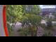 Webcam in Gabsheim, 9.9 mi away