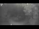 Webcam in Gabsheim, 25.1 km