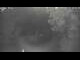 Webcam in Gabsheim, 25.1 km