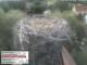 Webcam in Aurach, 20.8 mi away