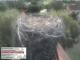 Webcam in Aurach, 20.8 mi away