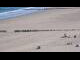 Webcam in Cadzand-Bad, 14.3 km entfernt