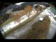 Webcam in Filzmoos, 0.9 mi away