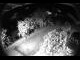 Webcam in Filzmoos, 0.4 mi away