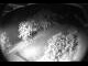 Webcam in Filzmoos, 2.4 km entfernt