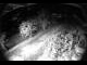 Webcam in Filzmoos, 0.9 mi away