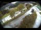 Webcam in Filzmoos, 0.9 mi away