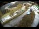 Webcam in Filzmoos, 0.9 mi away