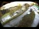 Webcam in Filzmoos, 0.4 mi away
