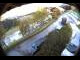 Webcam in Filzmoos, 0.9 km