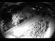 Webcam in Filzmoos, 0.9 km