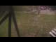 Webcam in Harrisonburg, Virginia, 58.5 km entfernt