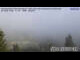 Webcam in Kochel am See, 0.1 km entfernt