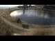 Webcam in Scheffau am Wilden Kaiser, 1.3 mi away