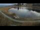 Webcam in Scheffau am Wilden Kaiser, 2.1 mi away